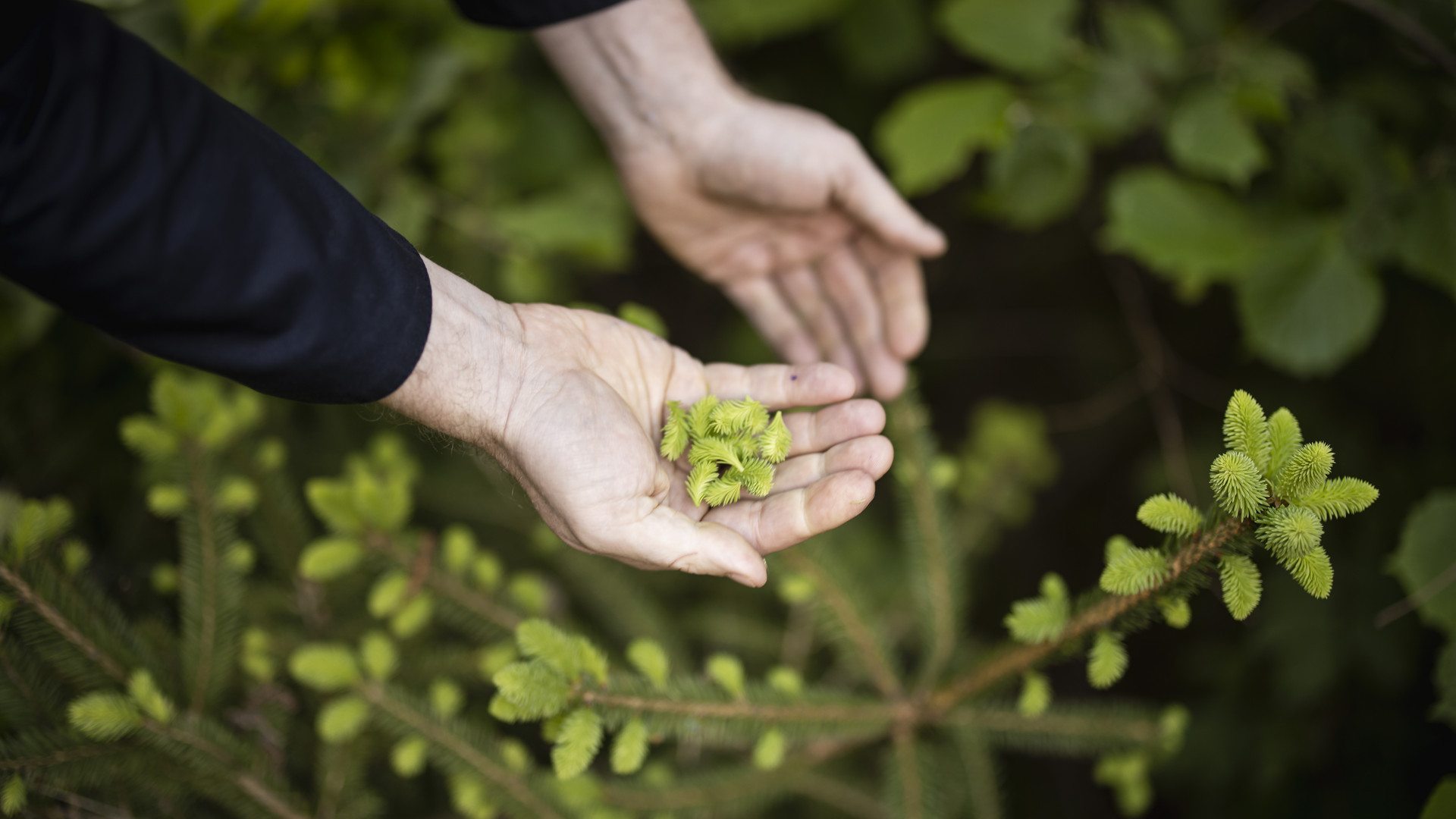 From Farm to Table