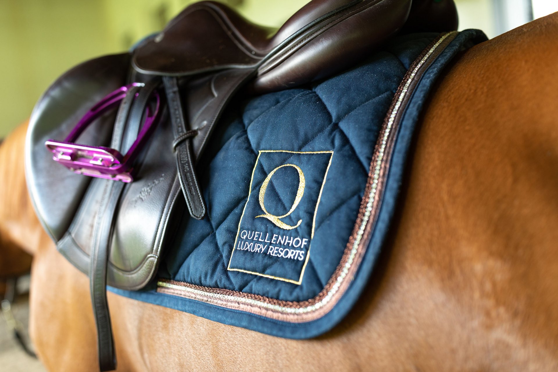 5-star hotel in South Tyrol: horse riding and wellness 5-star hotel in South Tyrol: horse riding and wellness