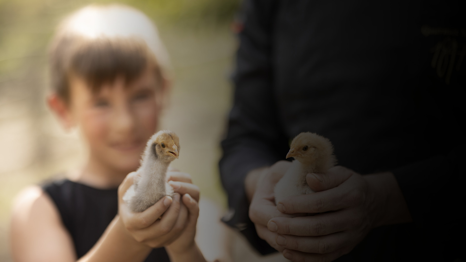 From Farm to Table