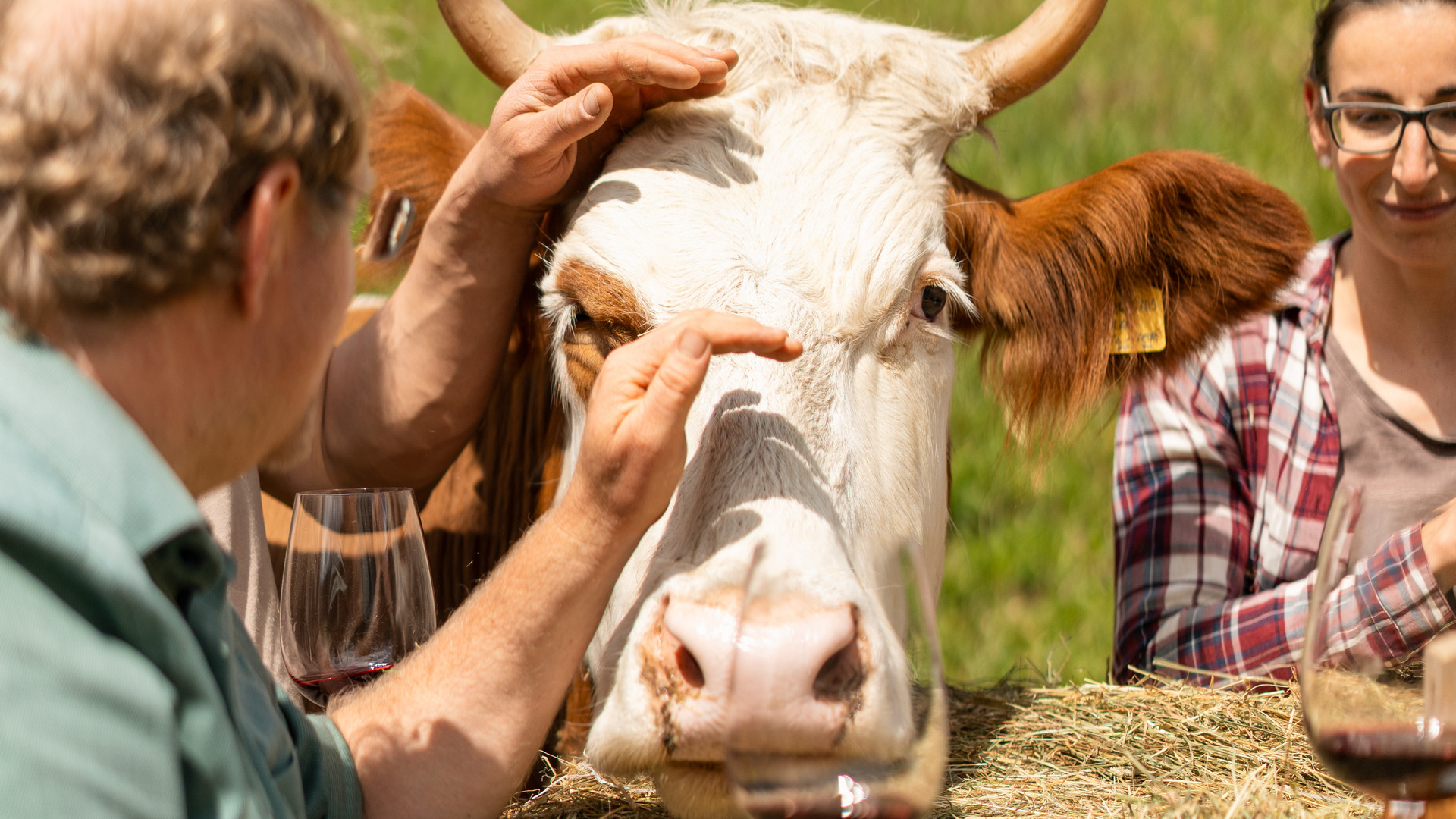 From Farm to Table