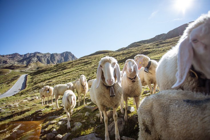 Things to do in idyllic Val Passiria/Passeiertal