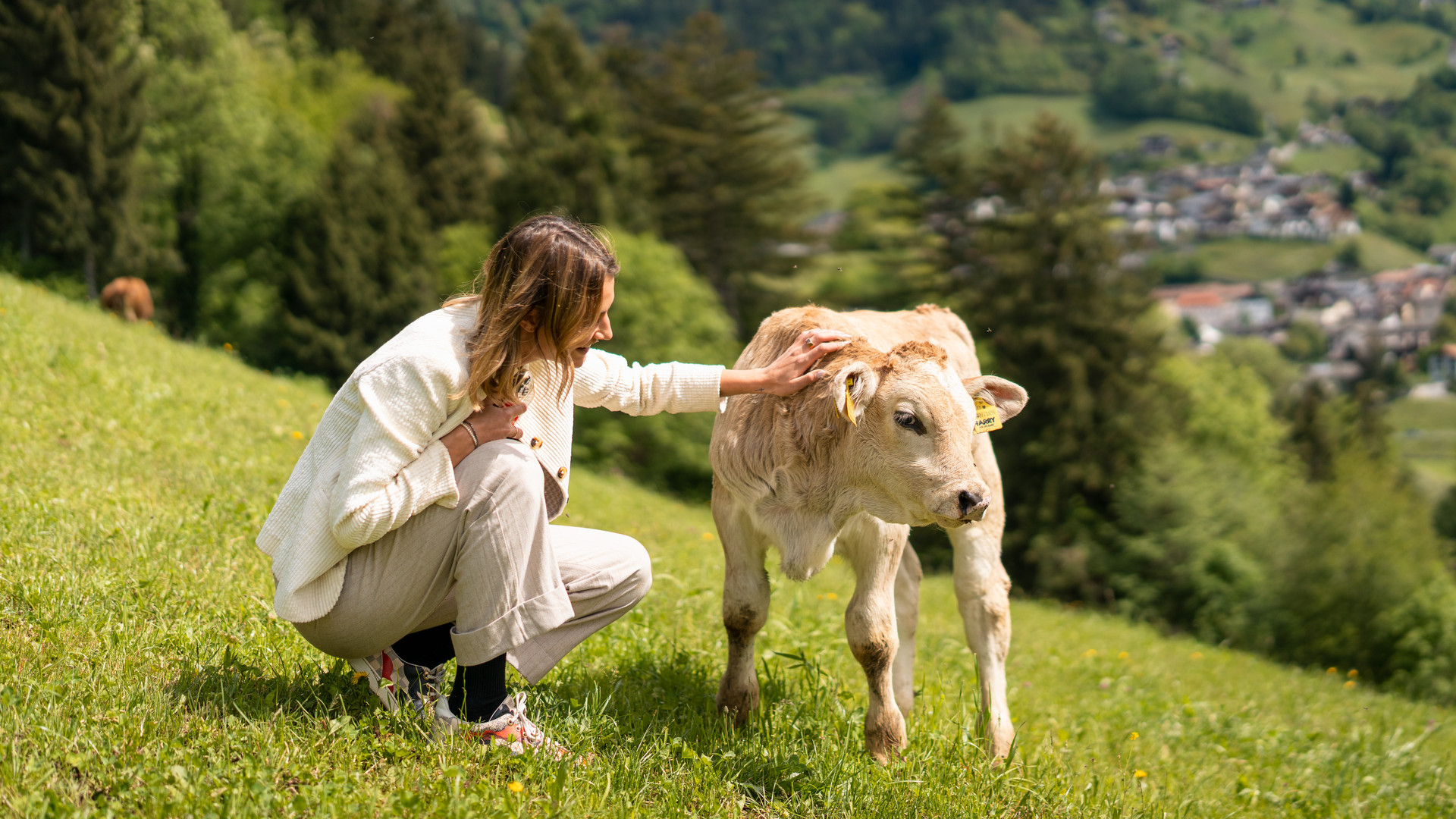 From Farm to Table