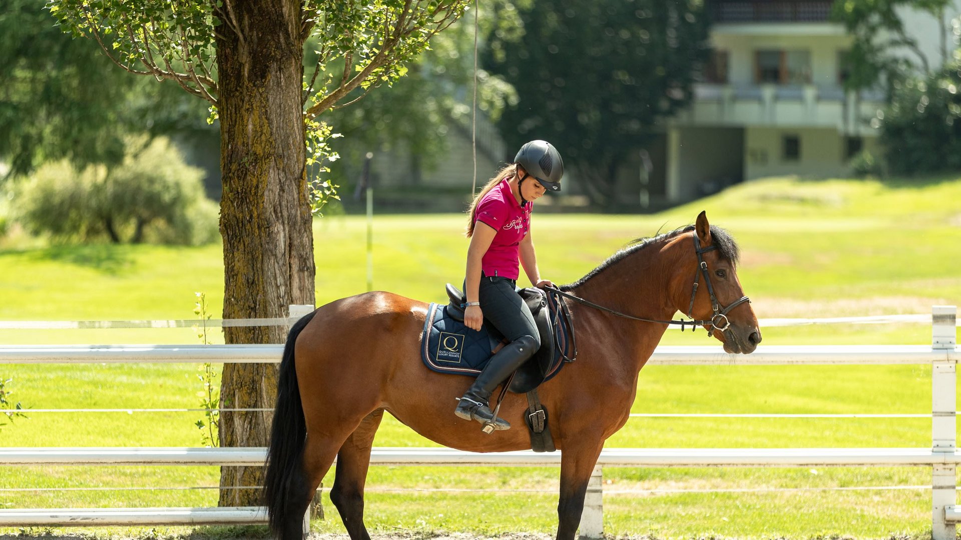 5-star hotel in South Tyrol: horse riding and wellness