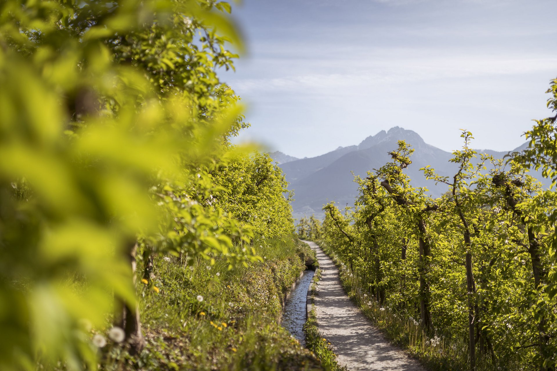 Val Passiria/Passeiertal: hiking and more