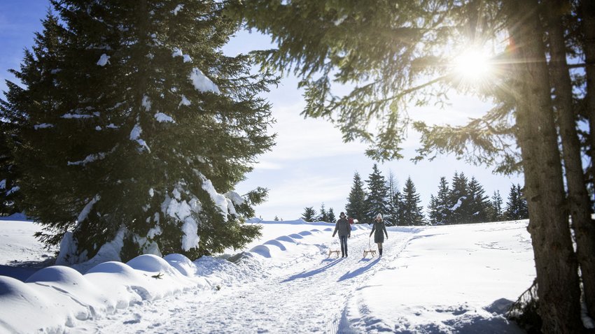 Ein Urlaub in Meran und Umgebung der Extraklasse