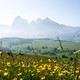 Dolomiten