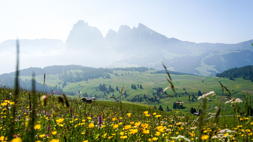 Dolomiten