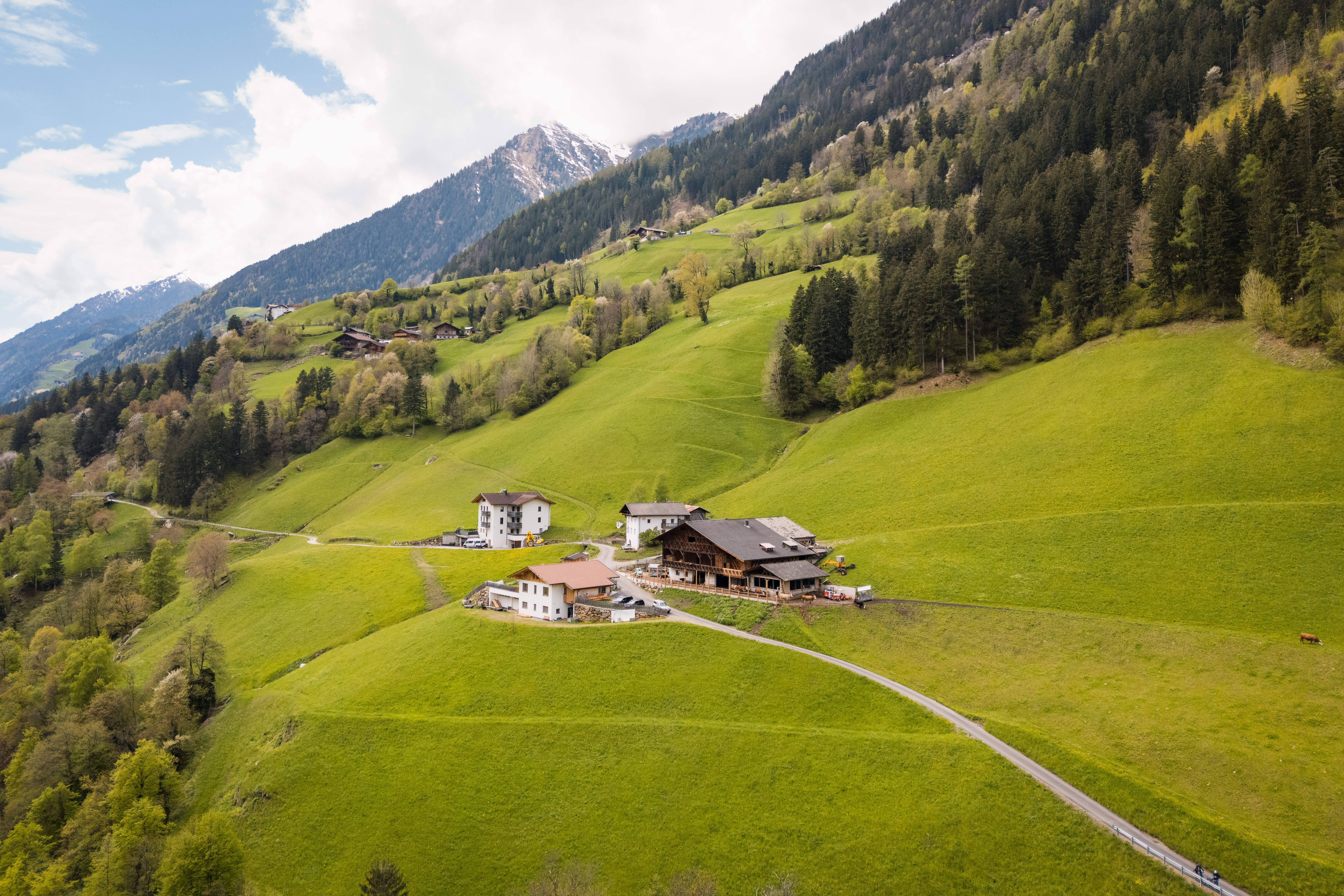 From Farm to Table From Farm to Table